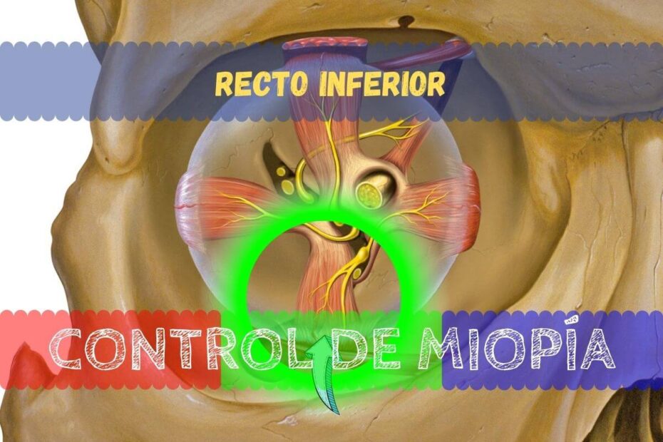 Banner - Recto inferior