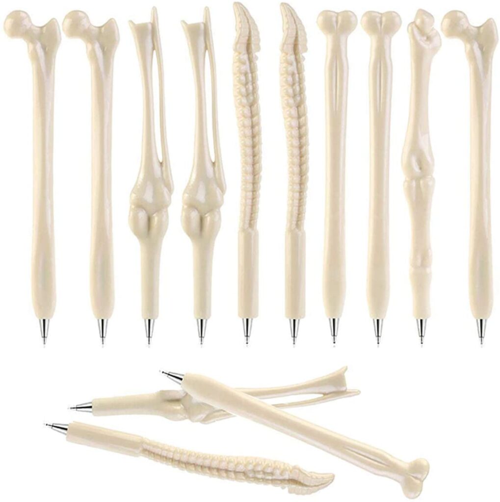 Músculo recto lateral del ojo 1