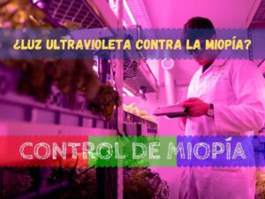 ARTÍCULOS 32 ARTÍCULOS 6