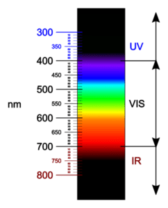 ¿Podría usarse Luz ultravioleta contra la miopía? 2