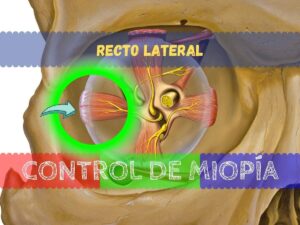 Banner - Recto lateral