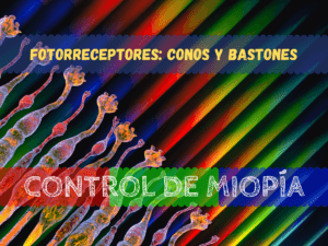 Banner - Fotorreceptores Conos y bastones