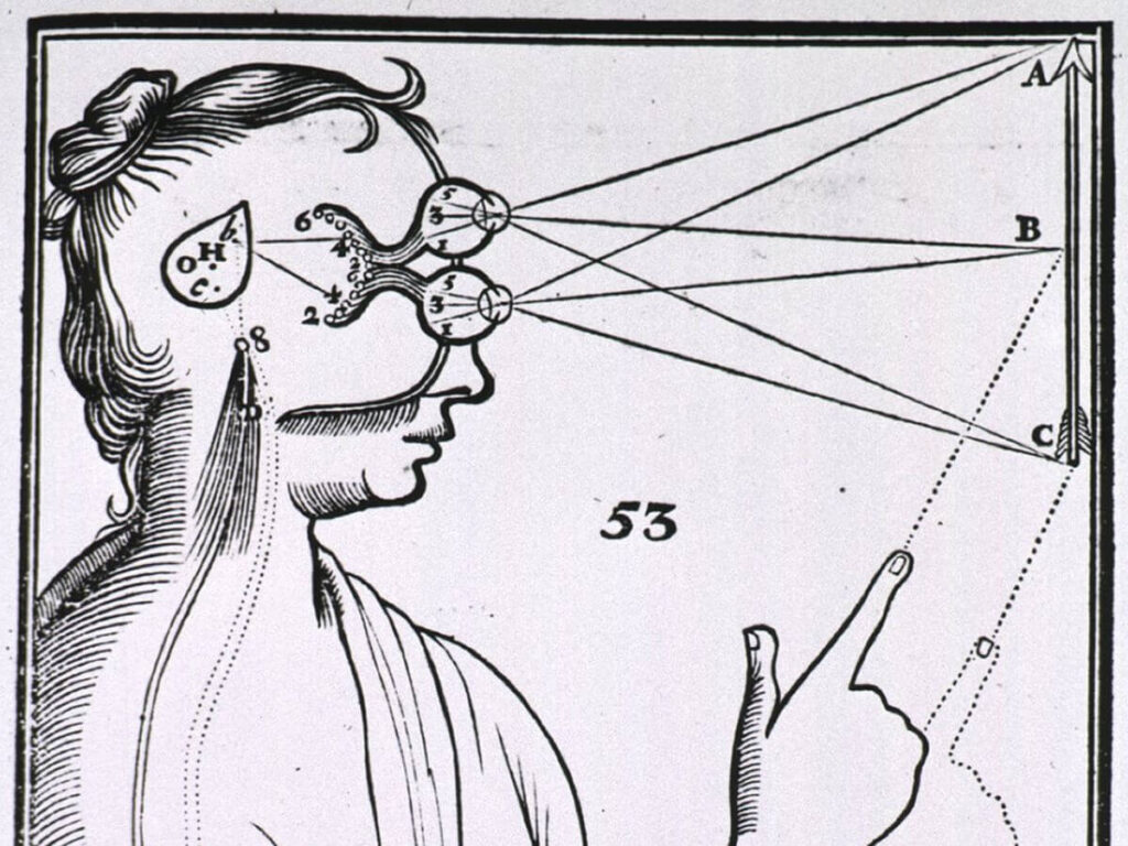 ¿Está la acomodación ligada al aumento de la miopía en niños? 2 dibujo de un esquema visual básico. aún queda mucho por descubrir sobre los ojos y la visión humana.